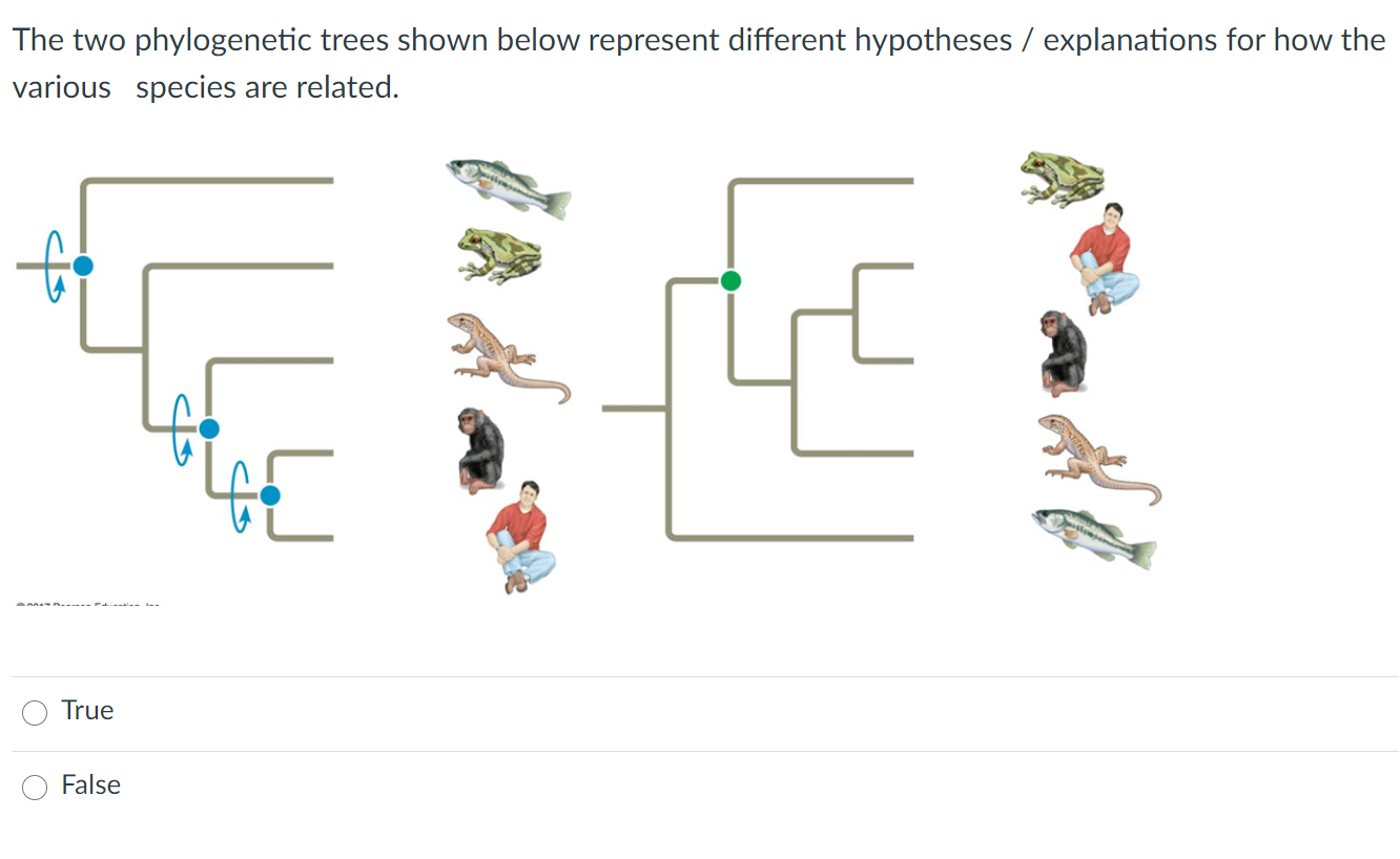 Solved The two phylogenetic trees shown below represent | Chegg.com