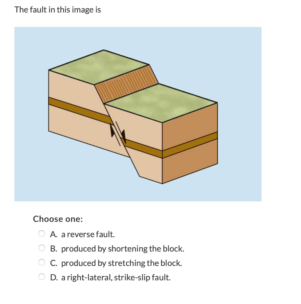 Solved The Fault In This Image Is Choose One: A. A Reverse | Chegg.com