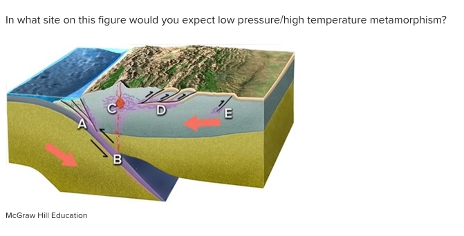 Solved In What Site On This Figure Would You Expect Low Chegg Com