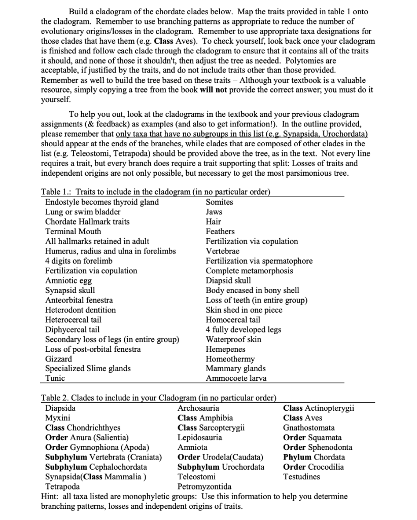 Solved Build A Cladogram Of The Chordate Clades Below. Map | Chegg.com