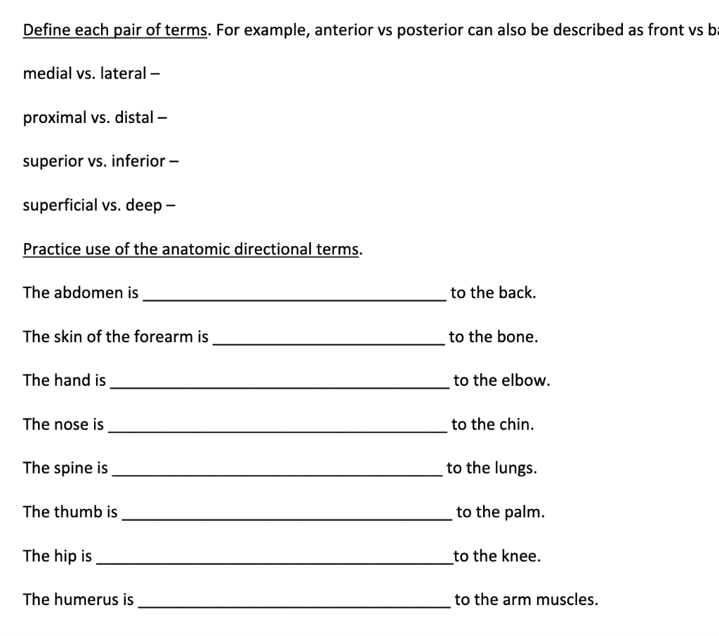 Solved Define each pair of terms. For example, anterior vs | Chegg.com