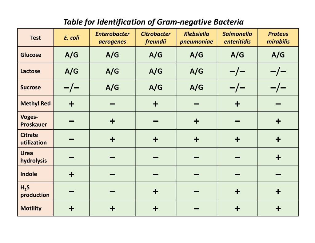 Solved E. Unknown Procedure Stage 4 (25 points total)
