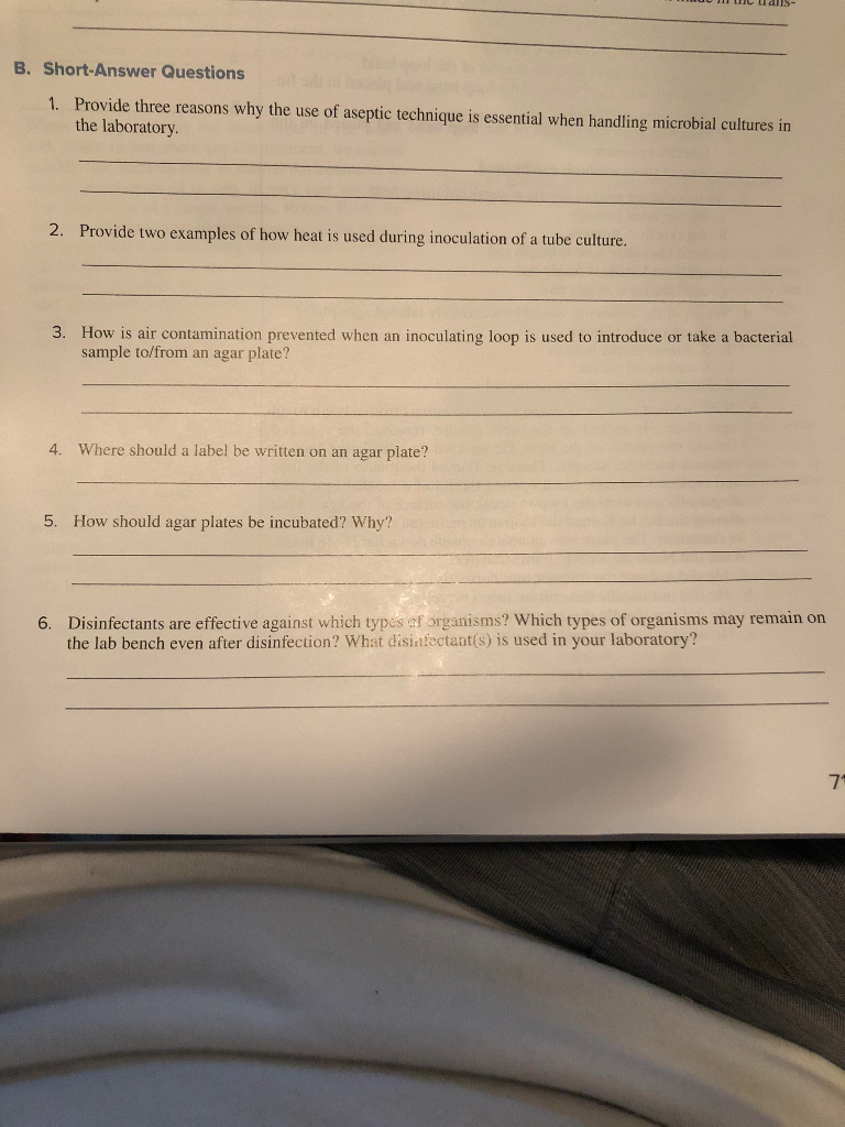 Where Should A Label Be Written On An Agar Plate Ythoreccio