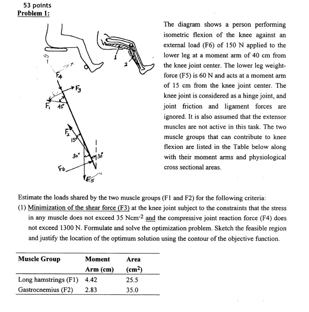 Solved The diagram shows a person performing isometric | Chegg.com