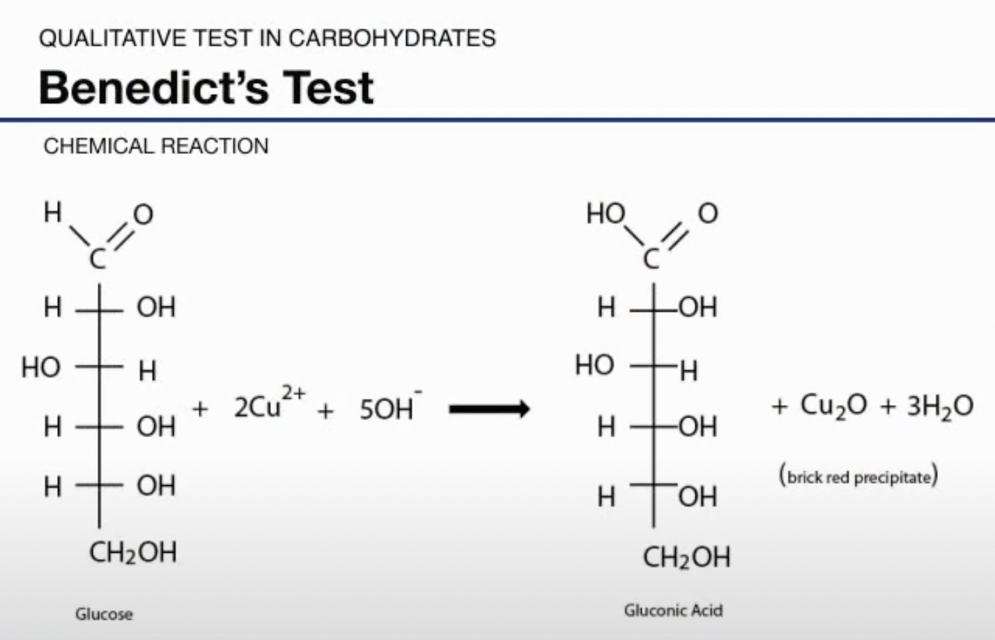Solved Please explain each step in the reaction mechanisms