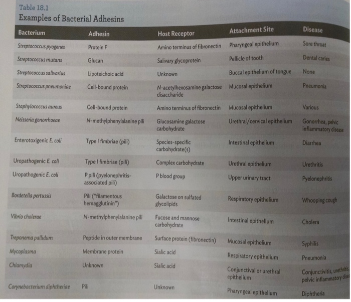 Solved Table 18.1 Examples Of Bacterial Adhesins Bacterium | Chegg.com