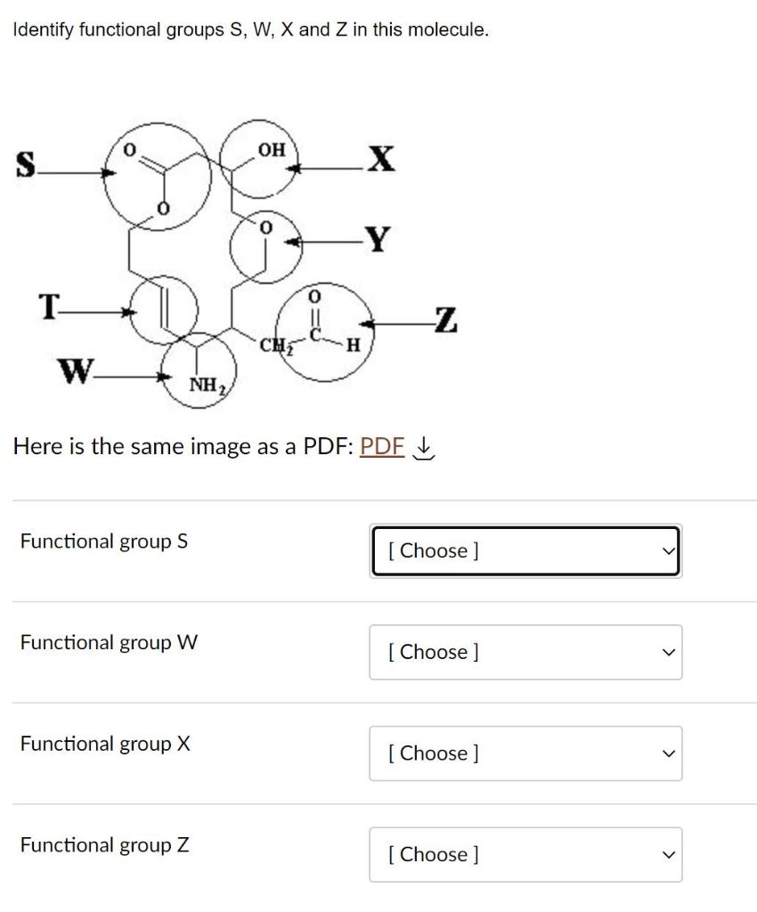Solved Identify functional groups S,W,X and Z in this | Chegg.com