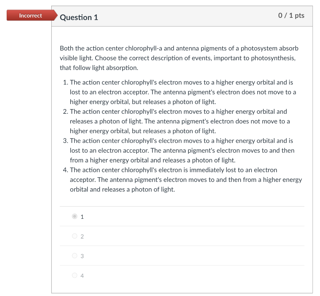 Solved Both the action center chlorophylla and antenna