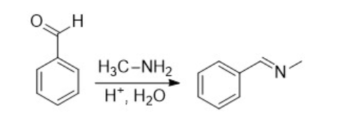 Solved H3C-NH2 H*, H20 -ΟΗ | Chegg.com