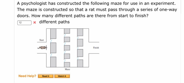 Solved A psychologist has constructed the following maze for | Chegg.com