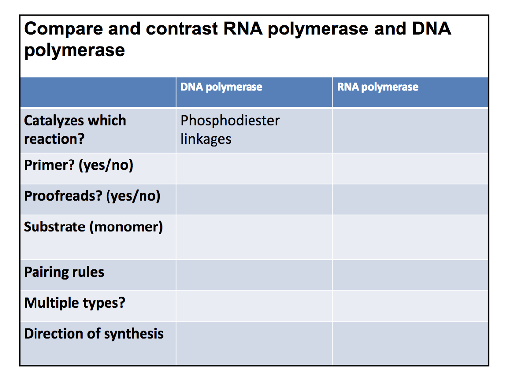 solved-compare-and-contrast-rna-polymerase-and-dna-chegg