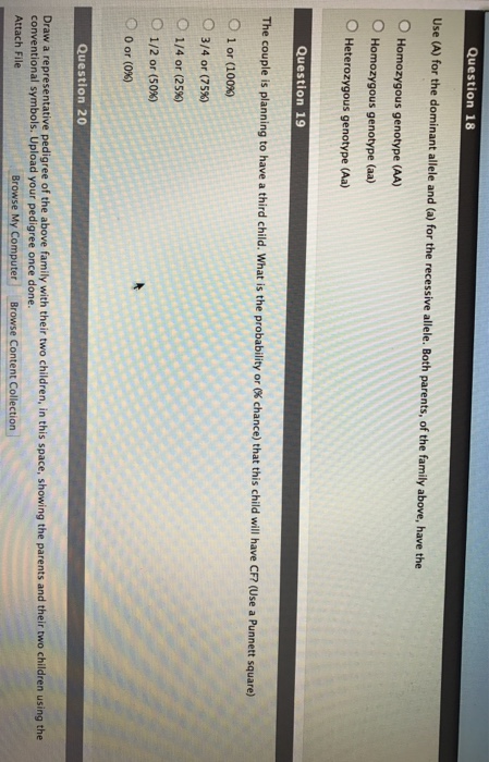 Solved Please help me answer the 4 questions | Chegg.com