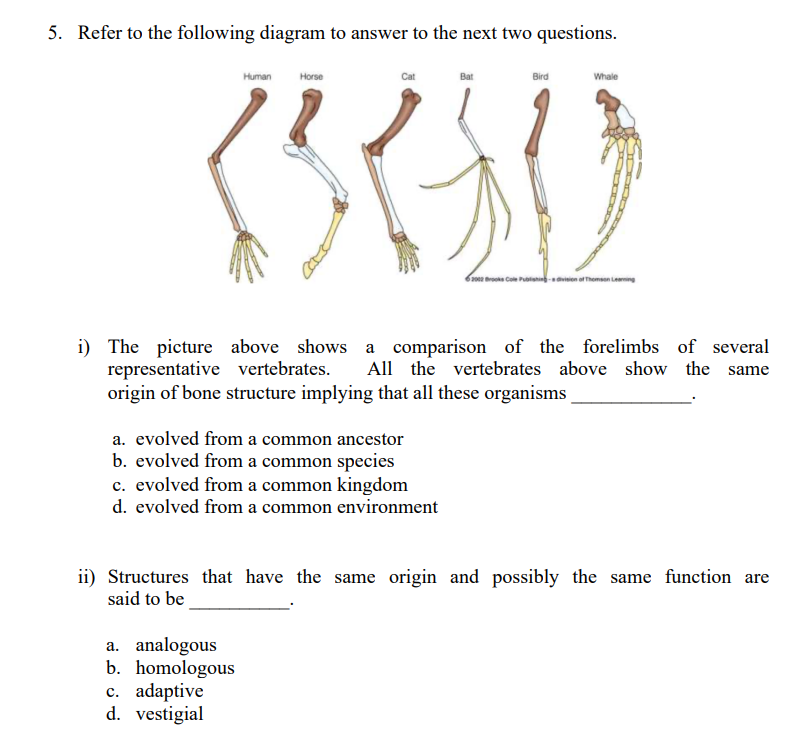 Solved 5. Refer to the following diagram to answer to the | Chegg.com