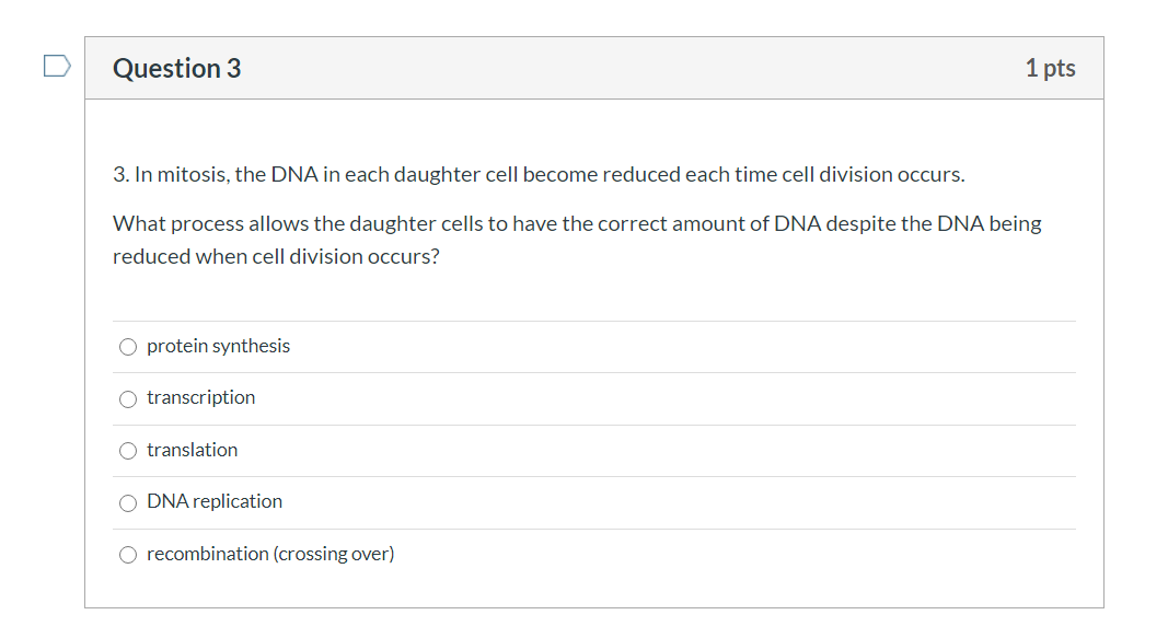 Solved Section C: DNA Replication • You are inside the | Chegg.com