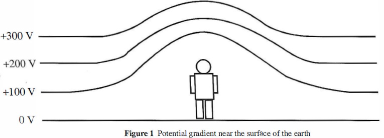 electrical gradient