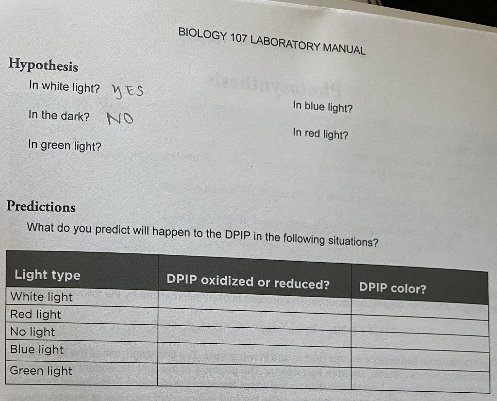 Solved BIOLOGY 107 LABORATORY MANUAL Hypothesis In white