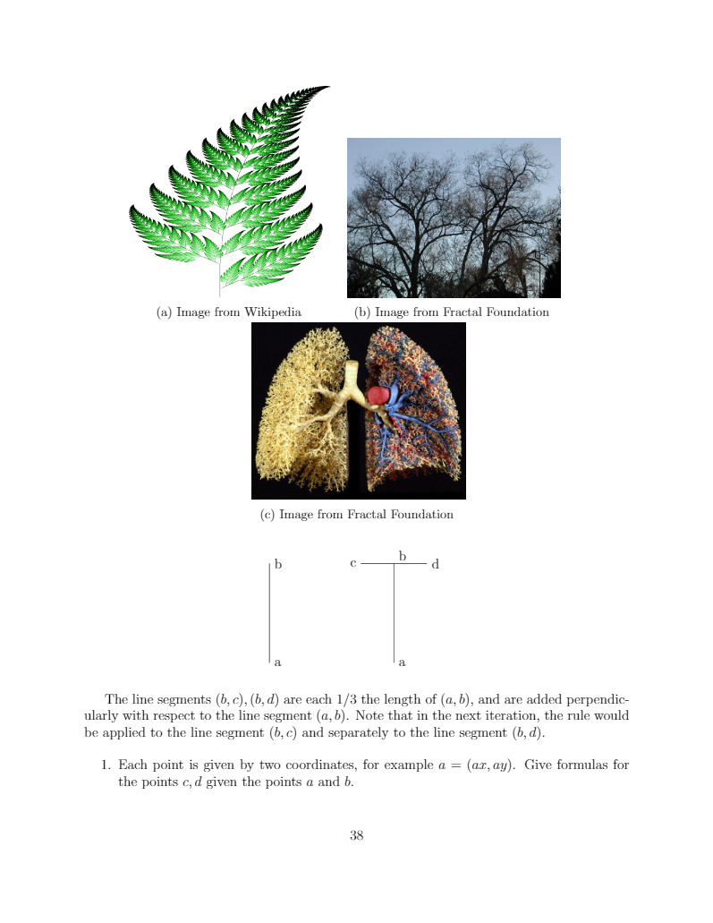 What are Fractals? – Fractal Foundation