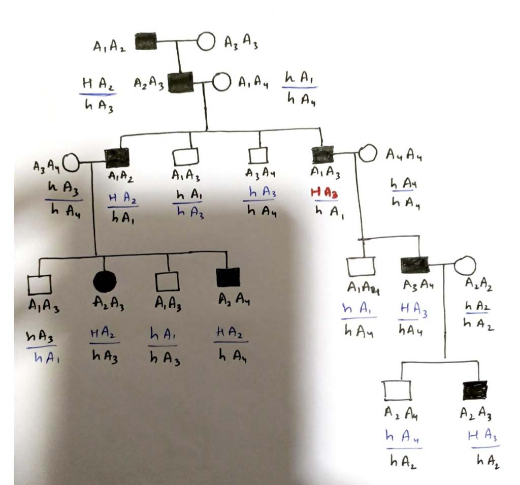 Solved Calculate the genetic distance between Marker A and | Chegg.com