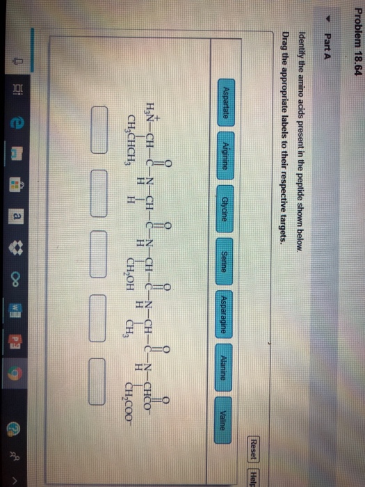Solved Problem 18.64 Part A Identify the amino acids present | Chegg.com