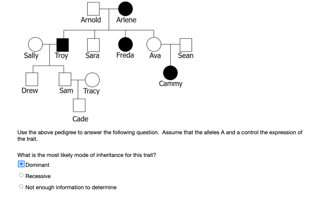 Solved Arnold Arlene Sally Troy Sara Freda Ava Sean Cammy | Chegg.com