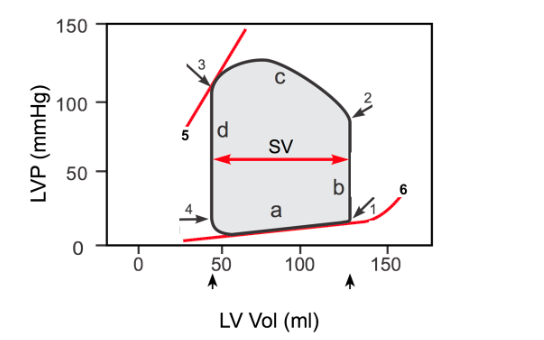 Solved What number or letter on the pressure-volume loop | Chegg.com