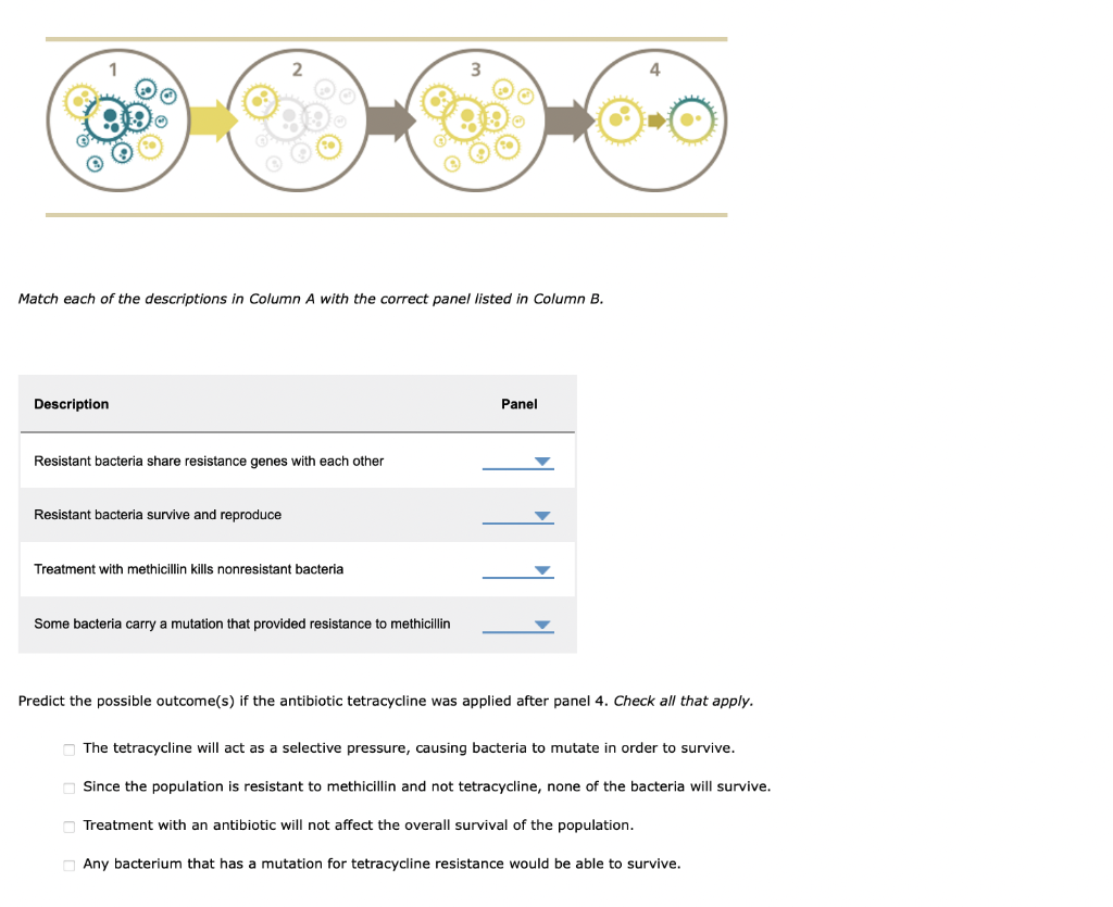 Solved Match each of the descriptions in Column A with the | Chegg.com