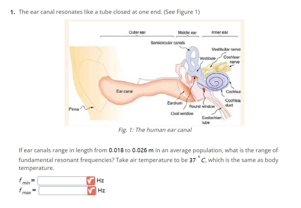 Solved 1. The ear canal resonates like a tube closed at one