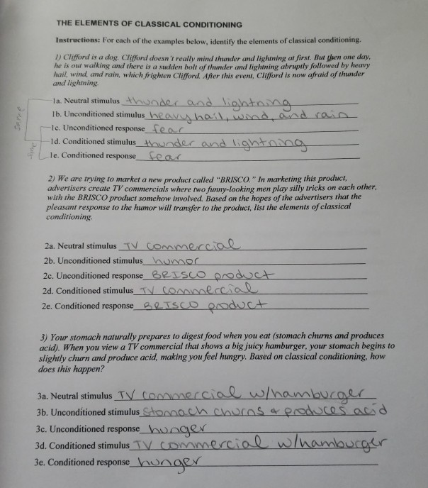 Solved The Elements Of Classical Conditioning Instructions Chegg Solved The Elements Of Classical Conditioning Instructions Chegg