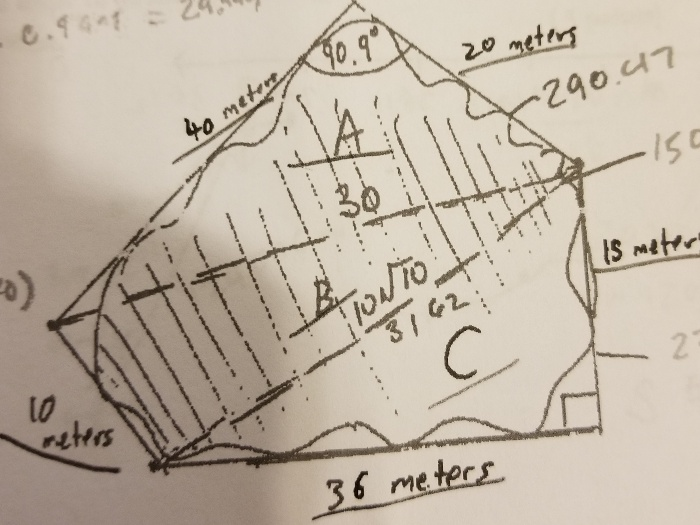 Lake Math Problem Solved 6. The area of a lake is being approximated by | Chegg.com