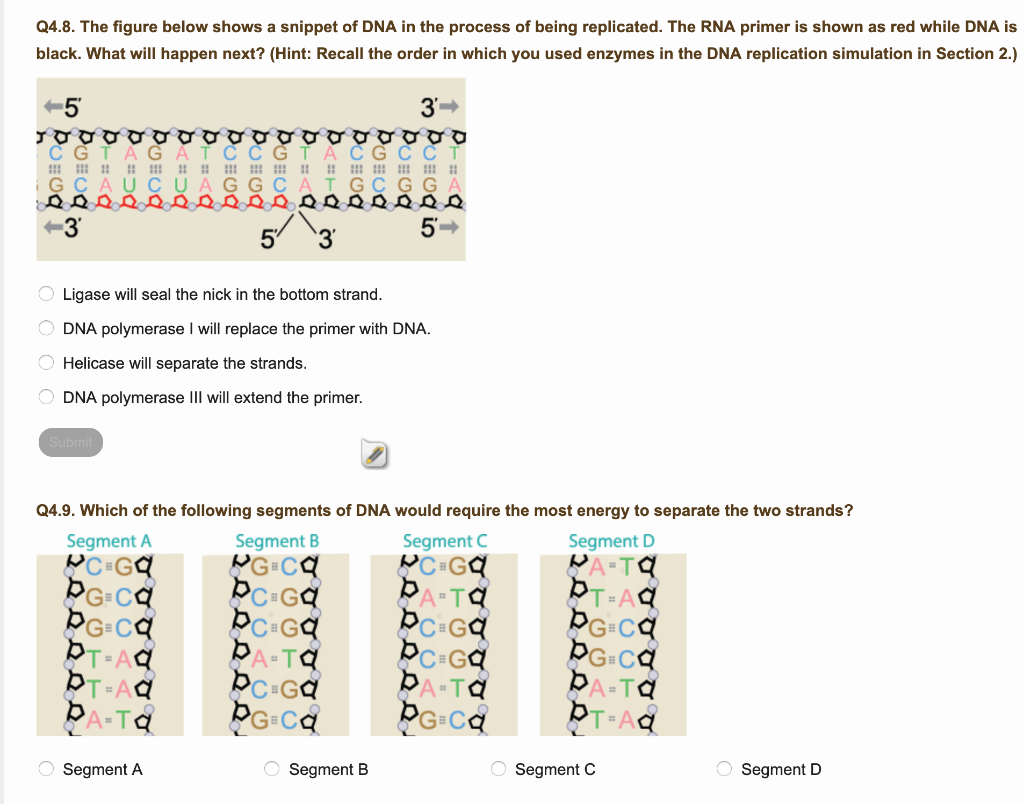 Solved Q4.1. Which Statement Below About DNA Is FALSE? O