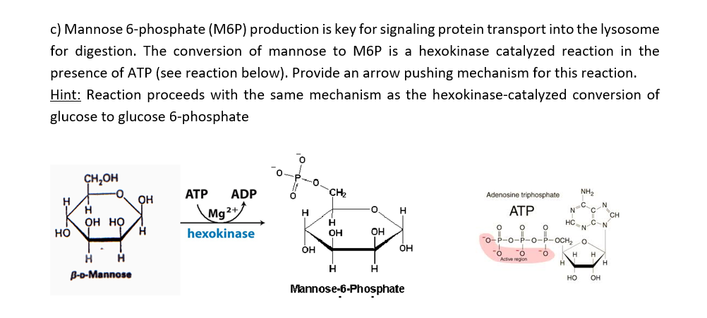 mannose 6 phosphate