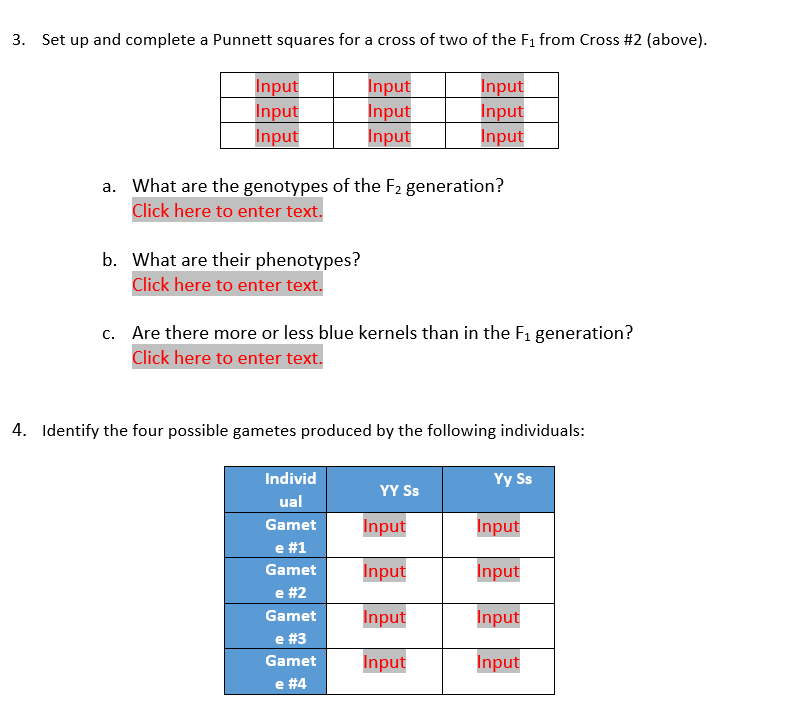 Solved Set up and complete a Punnett squares for a cross of | Chegg.com