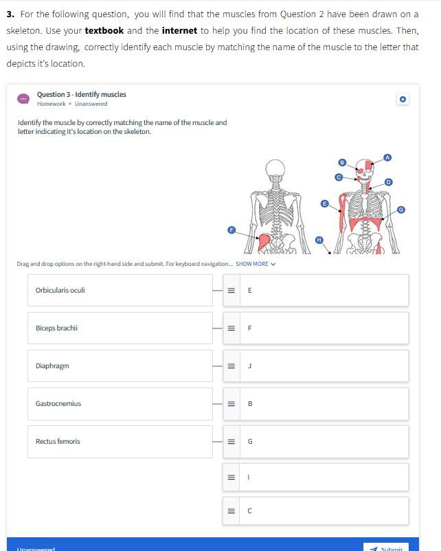 Solved Activity B. Muscular Anatomy 2. Each Of The Different | Chegg.com