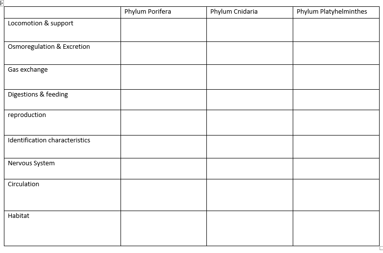 Solved Phylum Porifera Phylum Cnidaria Phylum | Chegg.com