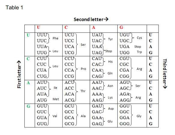 Solved Refer to the partial DNA sequence of gene B in Figure | Chegg.com