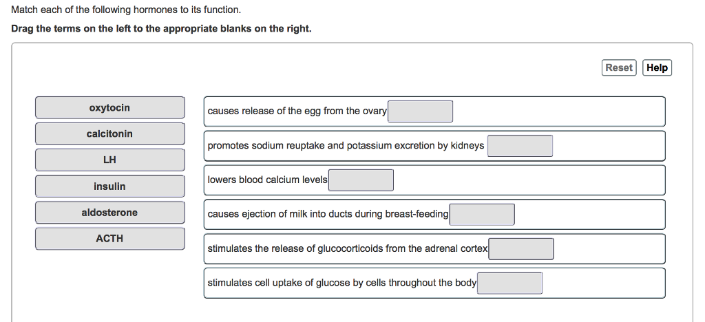Solved Match each of the following hormones to its function | Chegg.com