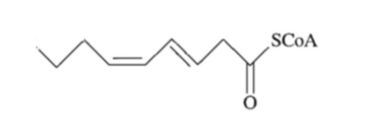 Solved Look at this molecule and determine the number of | Chegg.com