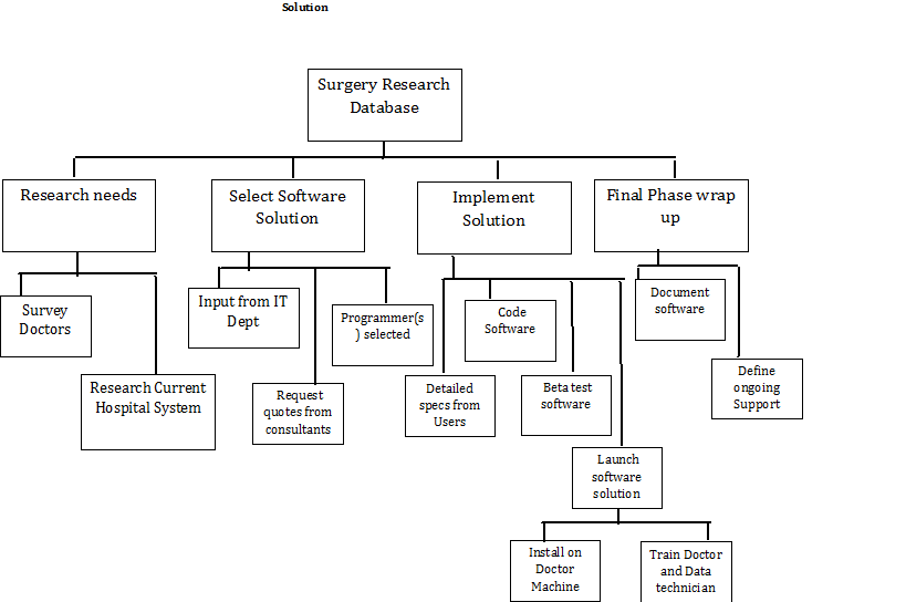 WBS Hospital Sample (sample work solution) The