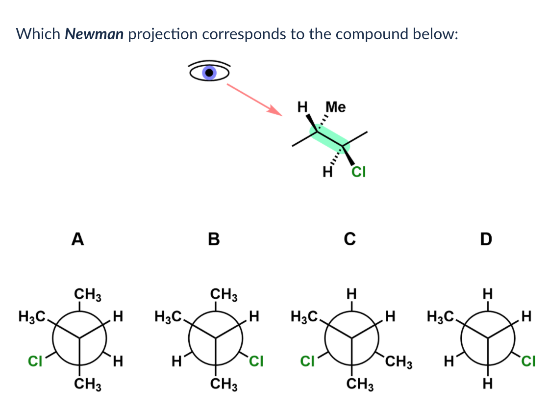 Solved Which Newman projection corresponds to the compound | Chegg.com