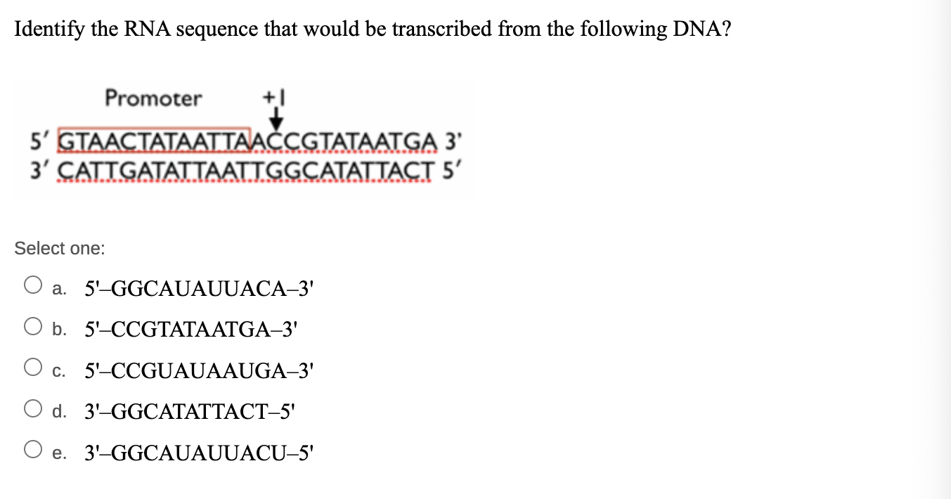 Solved Identify the RNA sequence that would be transcribed | Chegg.com