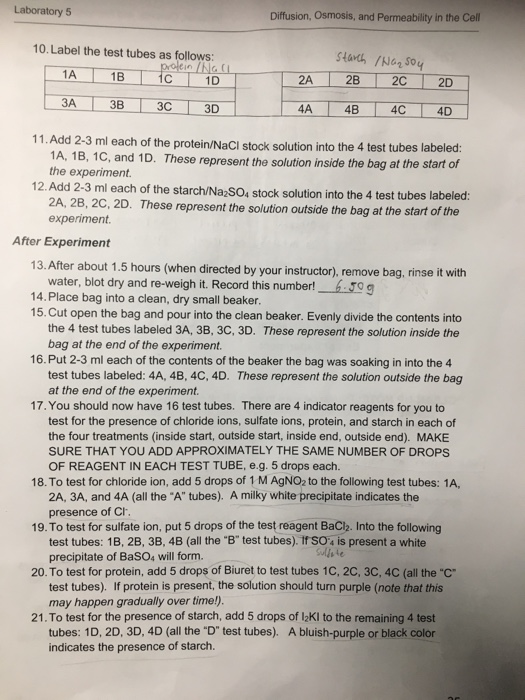 Dialysis Tubing Diffusion Osmosis Lab