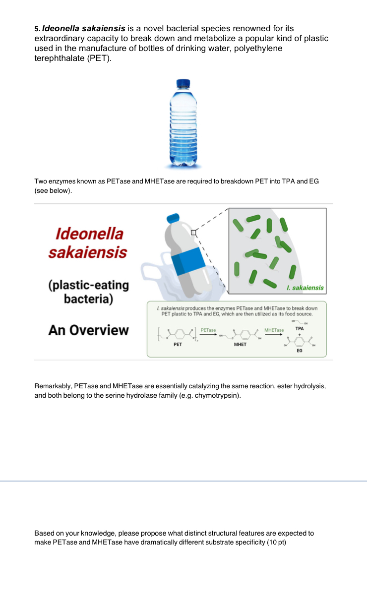 Petase Structure Solved Ideonella sakaiensis is a novel bacterial species | Chegg.com