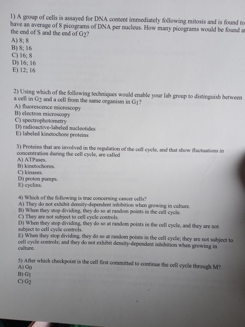 Solved 1) A Group Of Cells Is Assayed For Dna Content 