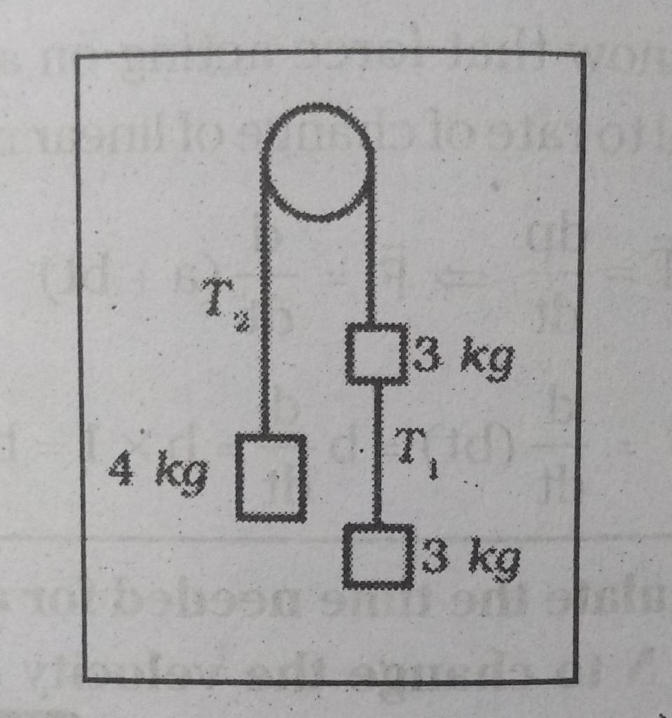 3 1т в кг