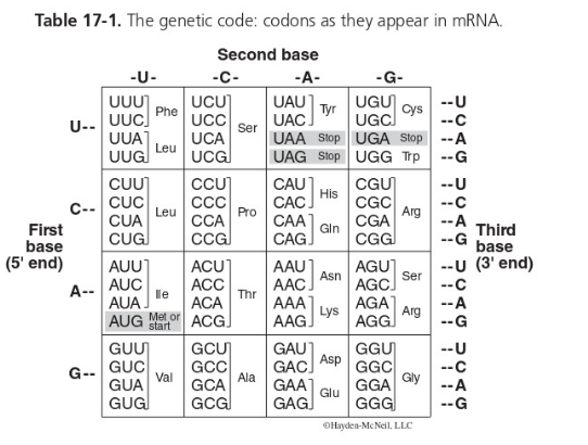 Solved R R R R O-C O-C - HO U A C G A G U A UGG А G с с G U | Chegg.com