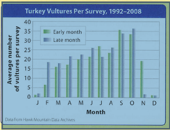 Turkey Vultures  Hawk Mountain Sanctuary: Learn Visit Join