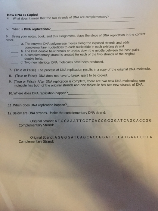 Dna Replication Worksheet Answers Onlineworksheetmyid