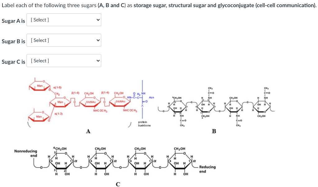 Solved Label each of the following three sugars (A, B and C) | Chegg.com