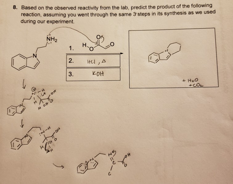 Solved 8. Based on the observed reactivity from the lab, | Chegg.com