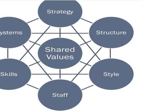 Solved McKinsey 7S Model is a strategic assessment and | Chegg.com